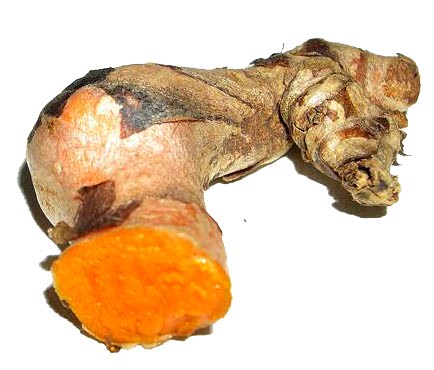 CURCUMA