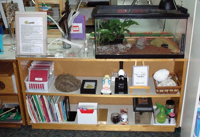 NAMC montessori leadership guide recruitment for schools science area