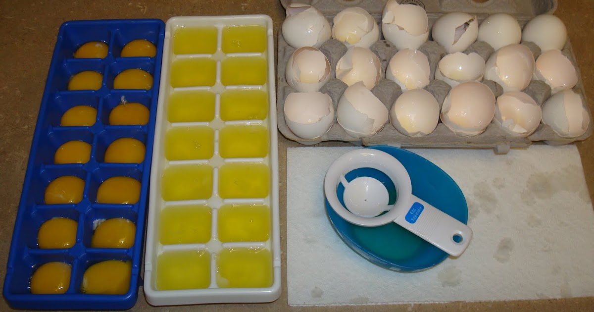 Blogger Bargains Freezing eggs