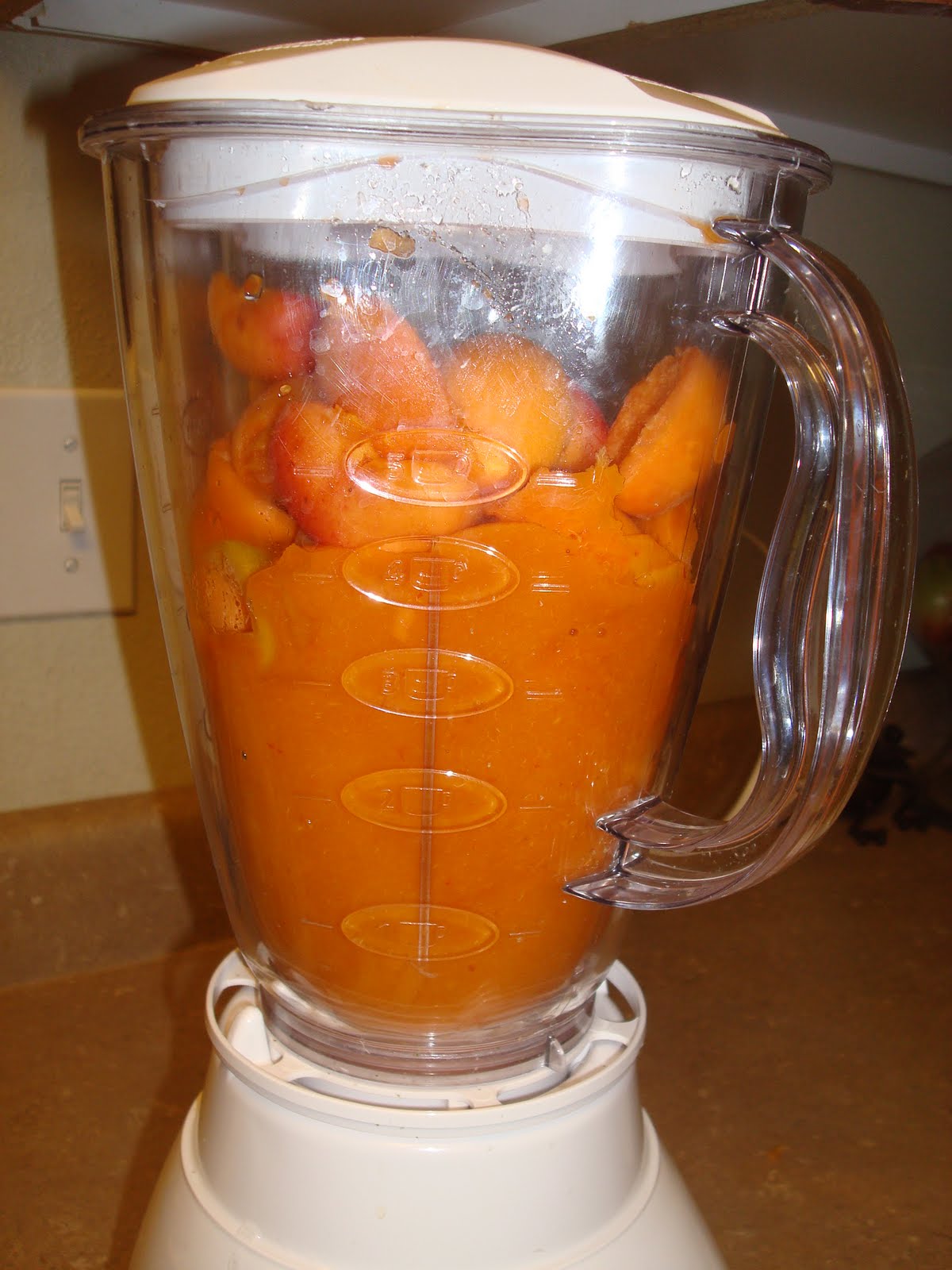 my family prepared Canning Apricot Nectar How To