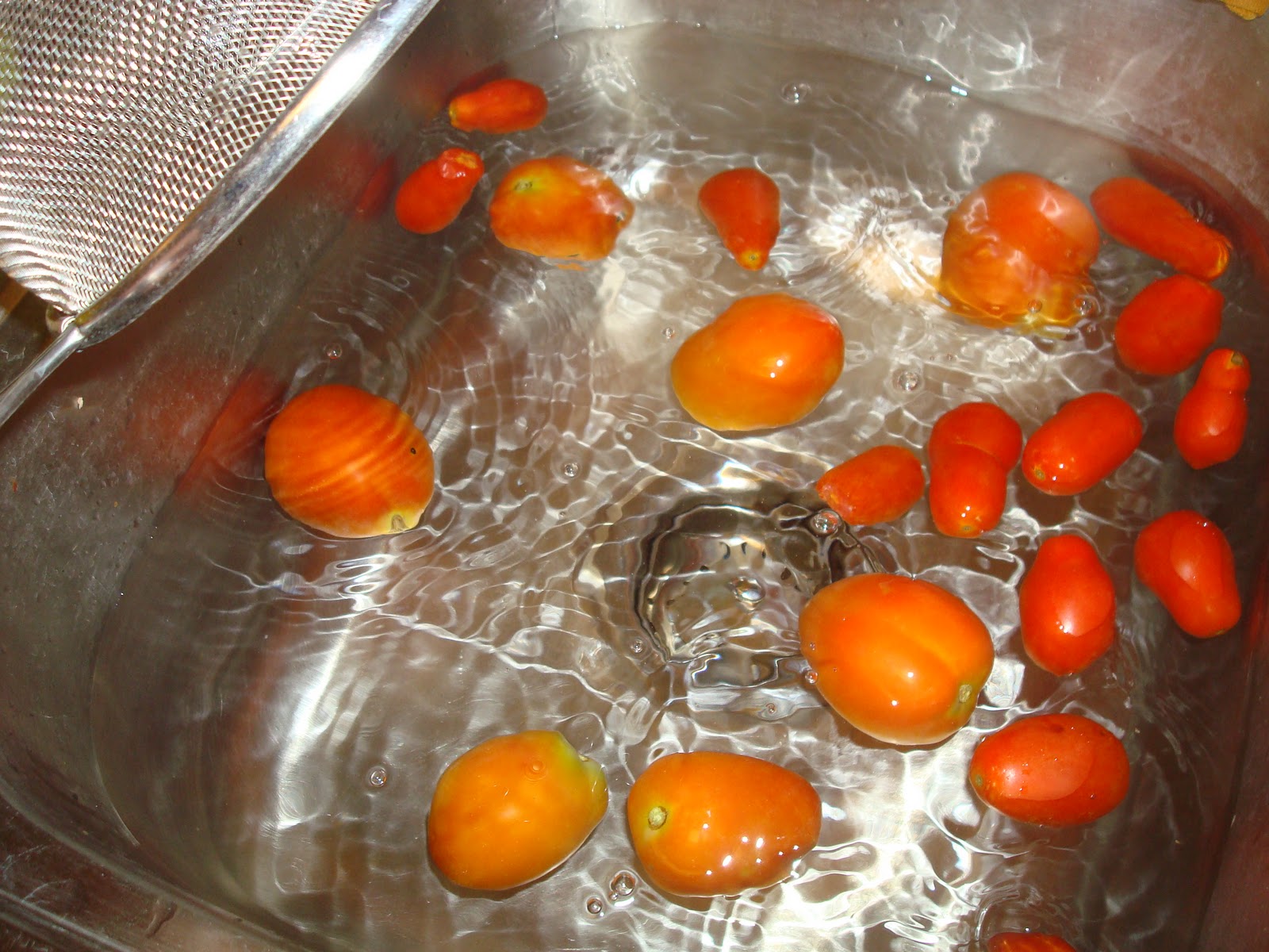 my family prepared Canning Tomatoes (Waterbath) How To