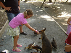 Port Douglas