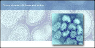 by antigenically different