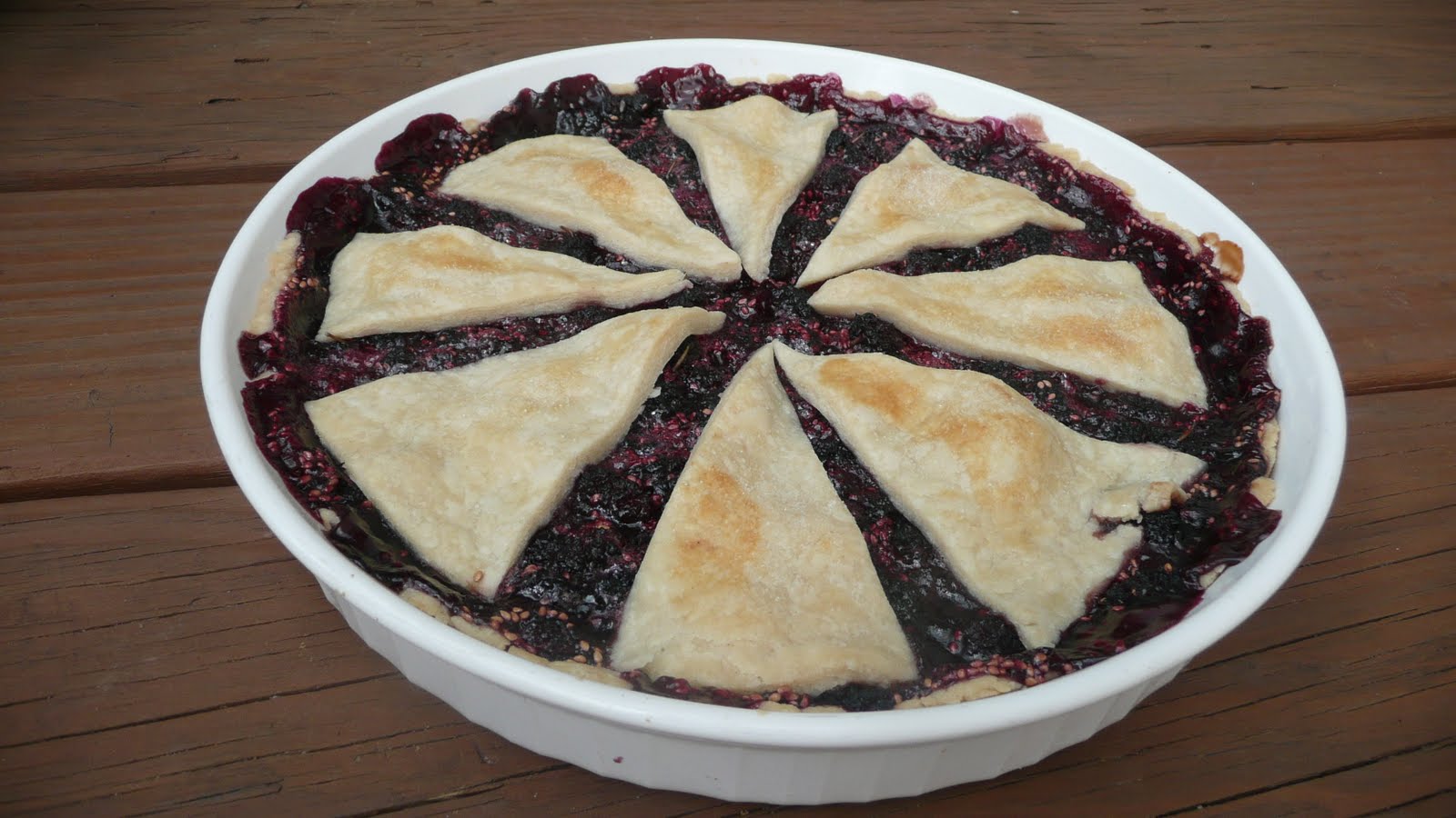 Viva Cindy Mom's Mulberry Tart Recipe