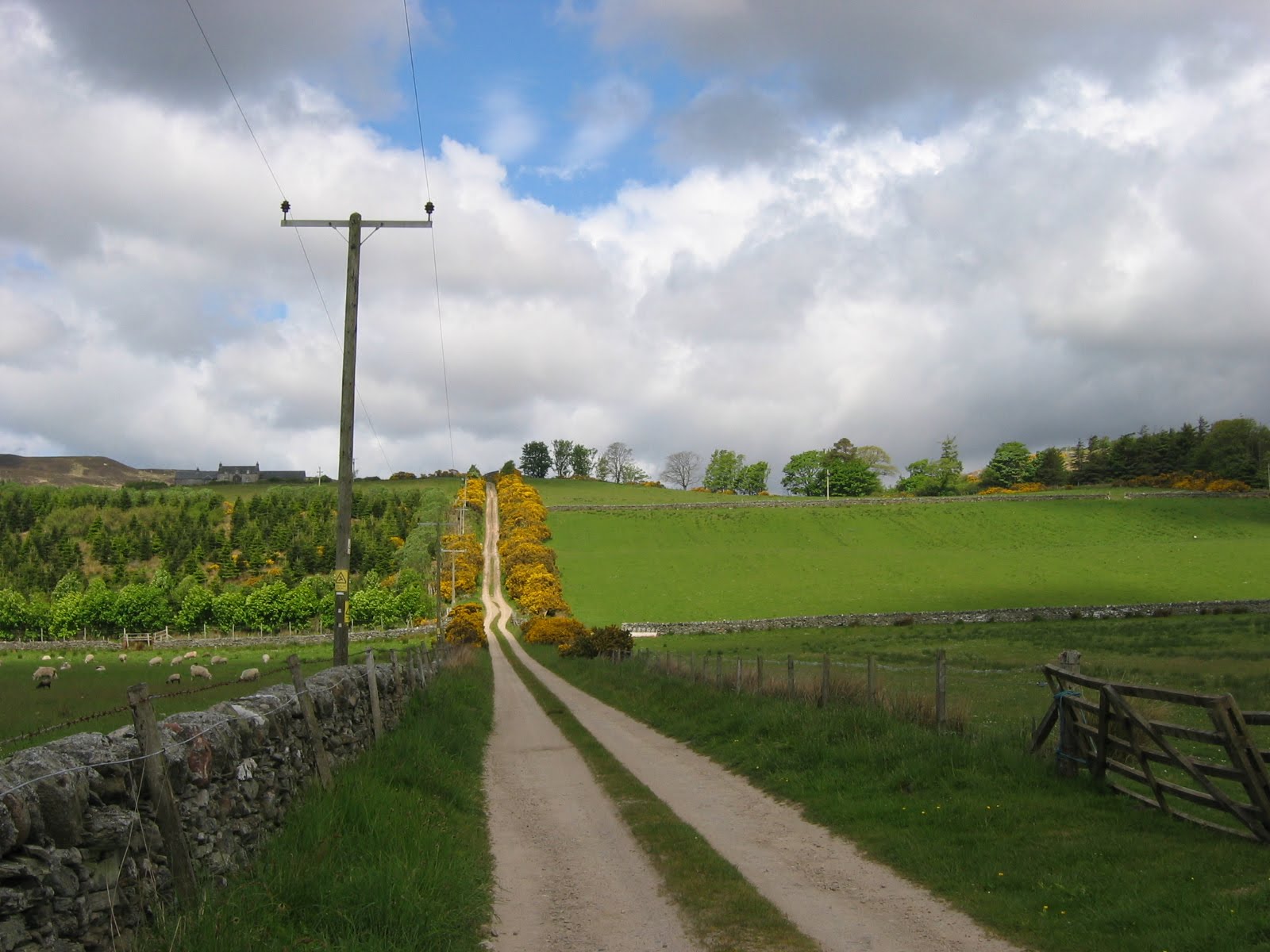 Telegraph Road