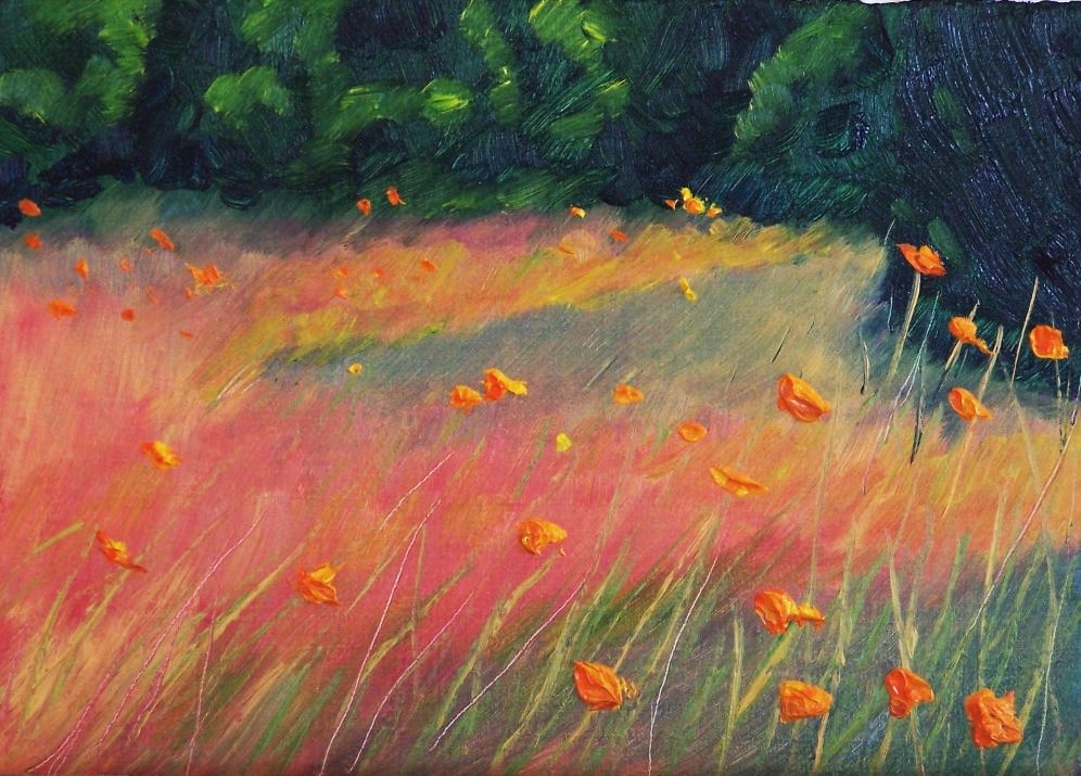 [Orange+Poppy+Field.jpg]