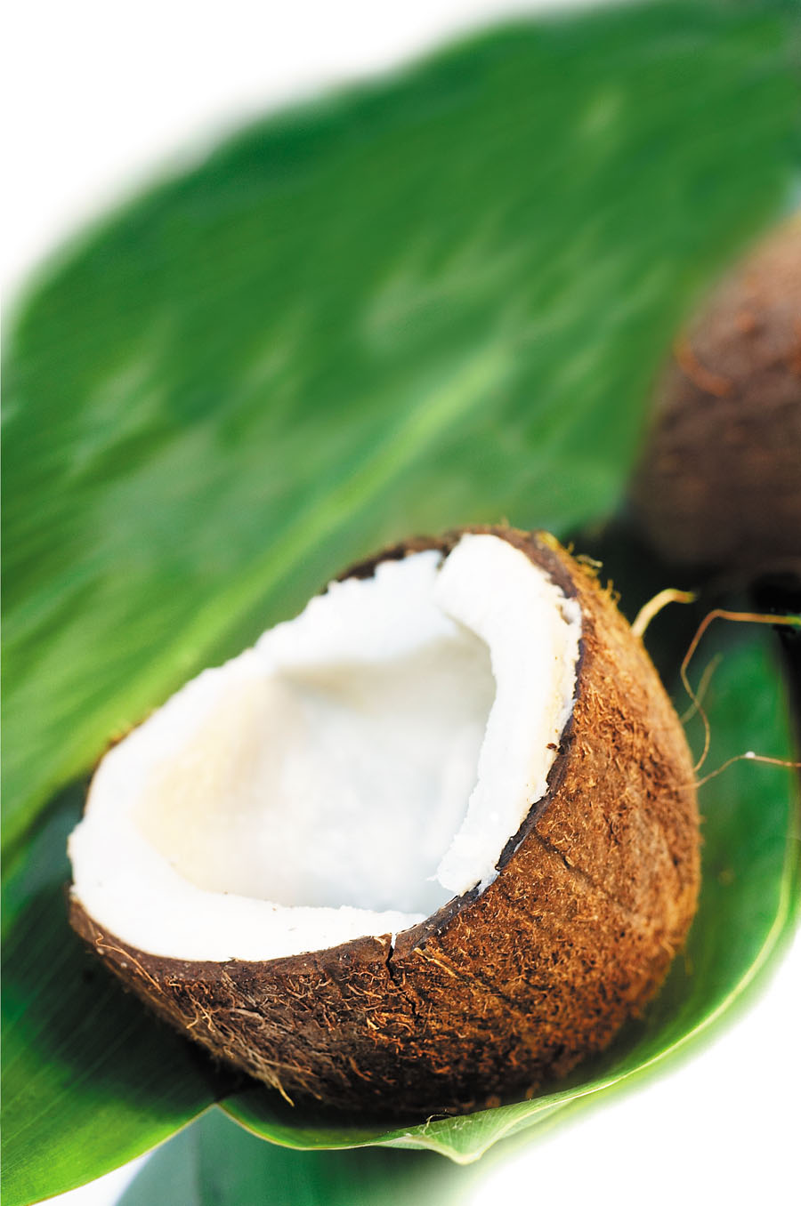 Natural Coconut Oil For Natural Hair Natural Coconut Oil For Natural Hair