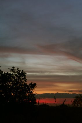 TRICOLOR LLANERO