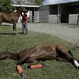 [b031-Puerto-Rico-Racetrack-Killings.jpg]