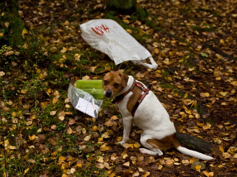 [081011_cache_sanda.jpg]