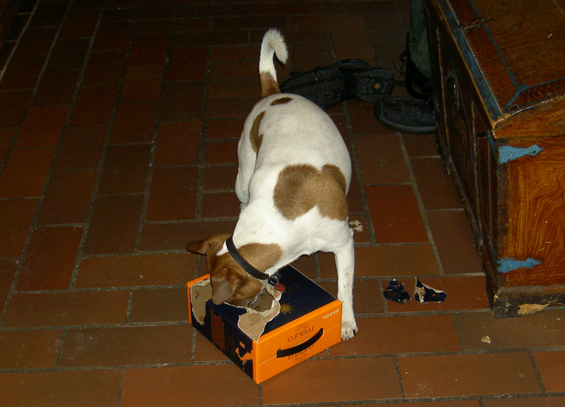 [090213_bib_0278.jpg]