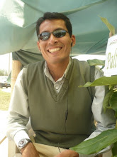 Mi foto