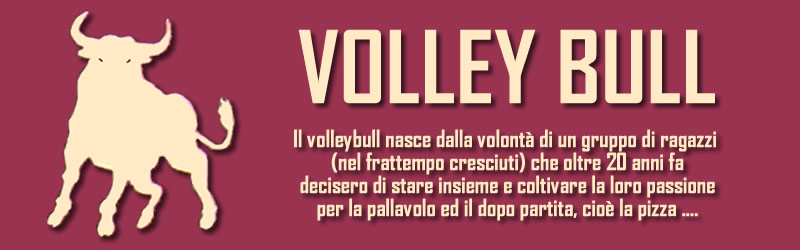 Volleybull Torino
