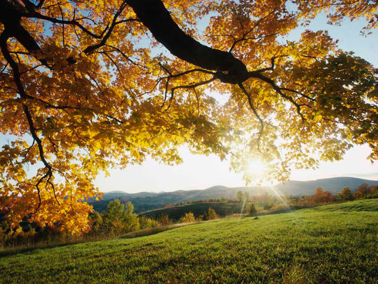 Have A wonderful Day!