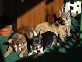 My Girls
