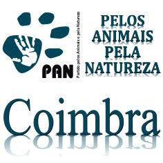 PAN Coimbra no Facebook