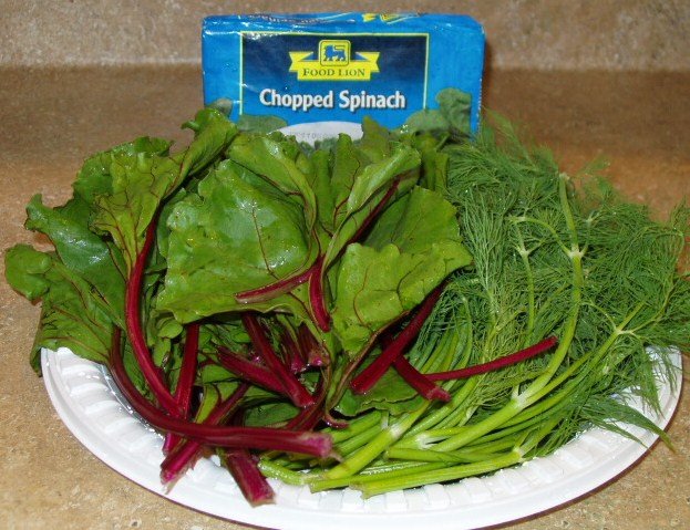 [dill-beet.JPG]