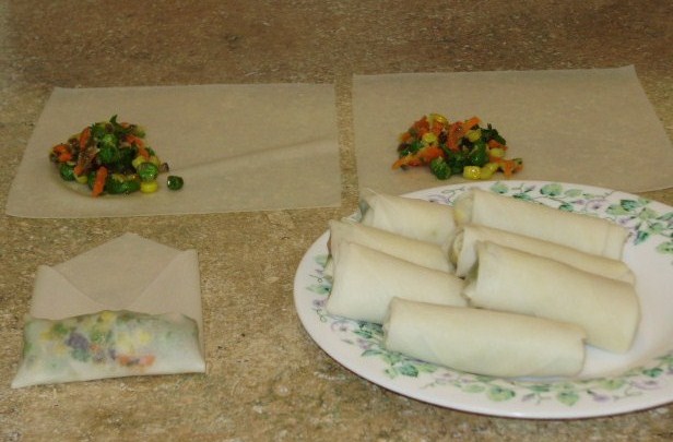 [springroll-4.JPG]
