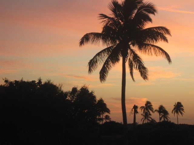 [IMG_2664.JPG]
