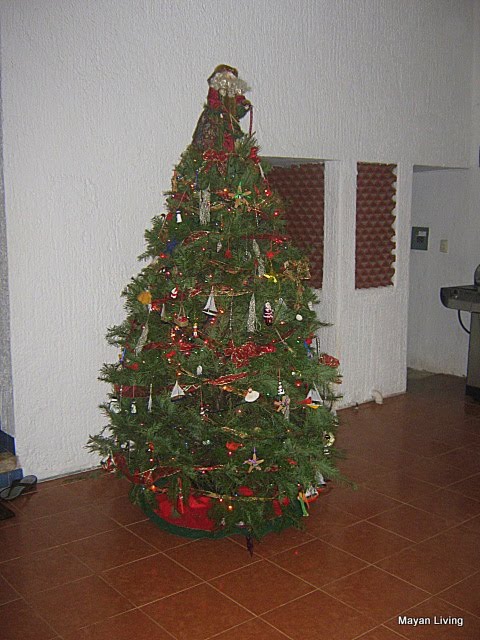 [IMG_2700.JPG]