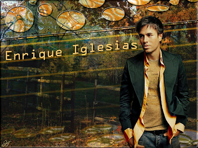 enrique iglesias wallpaper. enrique iglesias wallpaper.