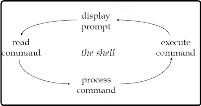 Linux creating Shell scripting Type of shell scripting Basics Linux program