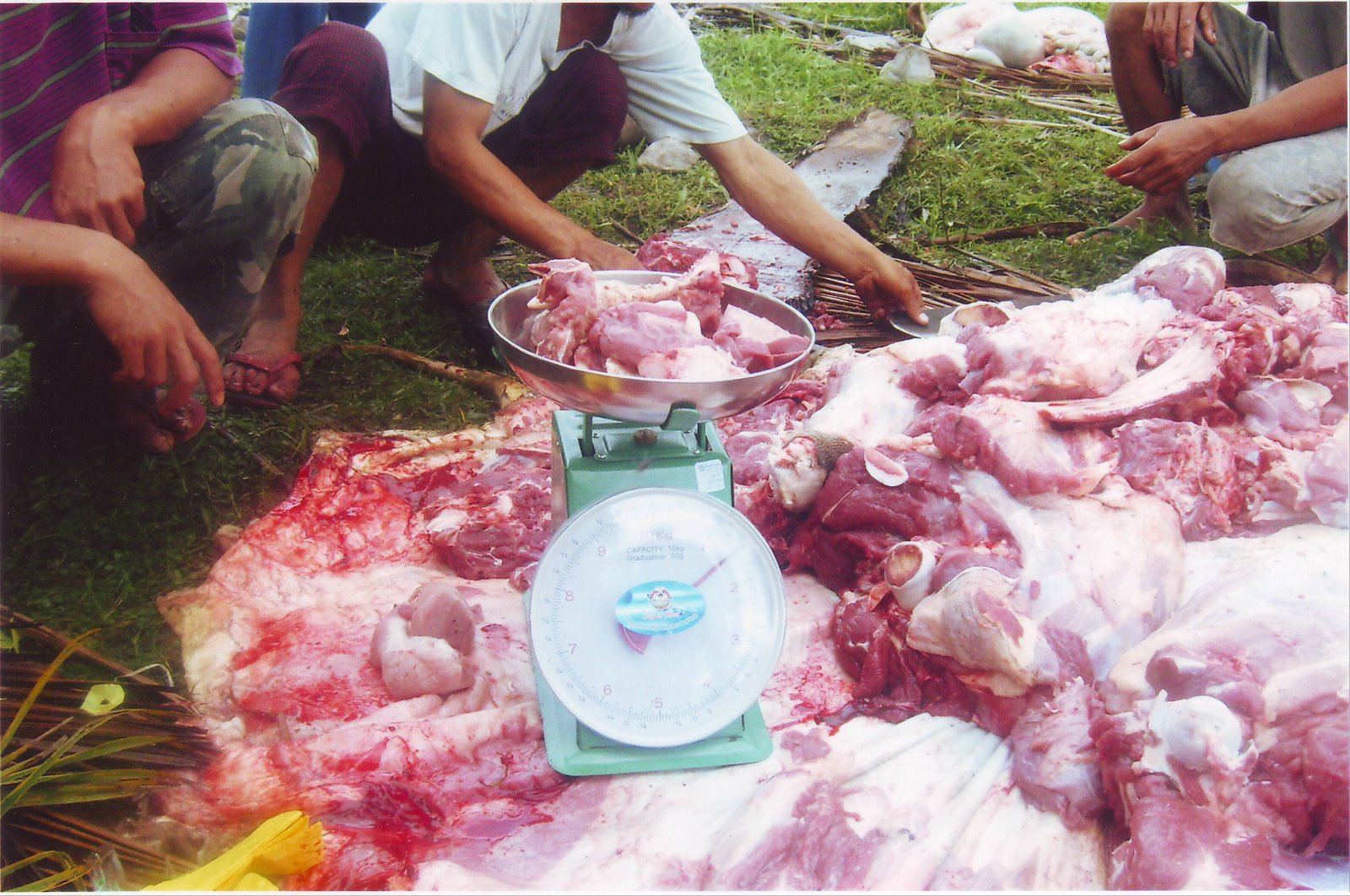 [Scan10121.JPG]