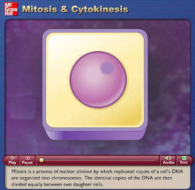 gtkids labeled animal cell animal cell diagram for kids labeled. gtkids labeled animal cell