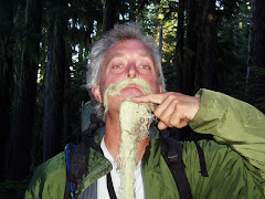 Neighbor with a moss beard!