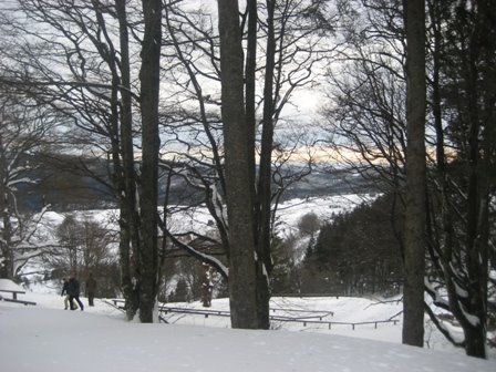 [IMG_9918.JPG]