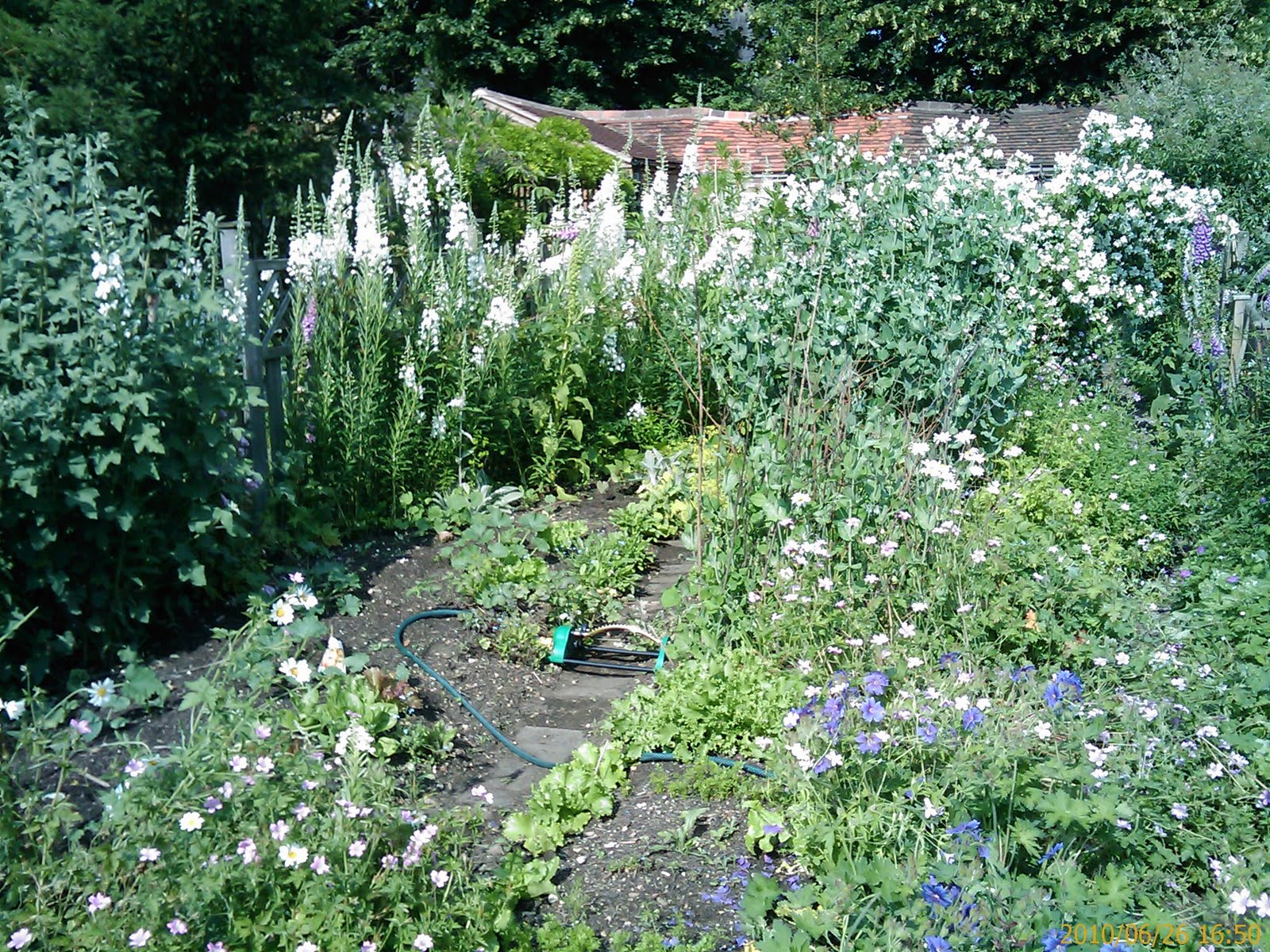 The Nature Of My Memories March 2015