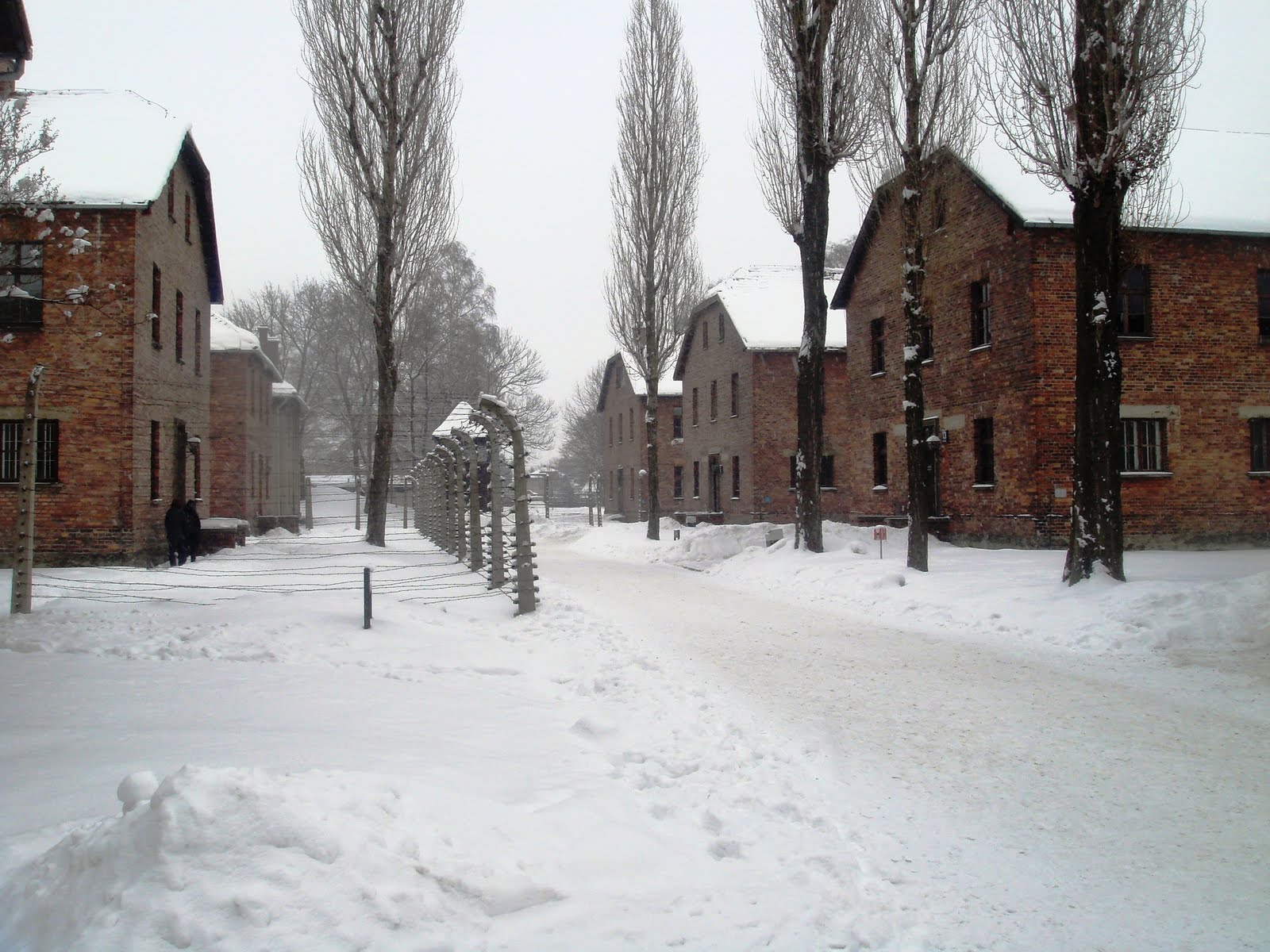 [DSC09461.JPG]