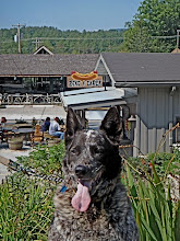 Zeke at his Grand Opening