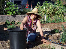 Our Leader, Master Gardener Pam