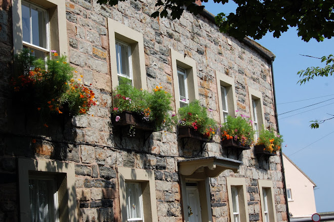 Window Boxes, Holy Island