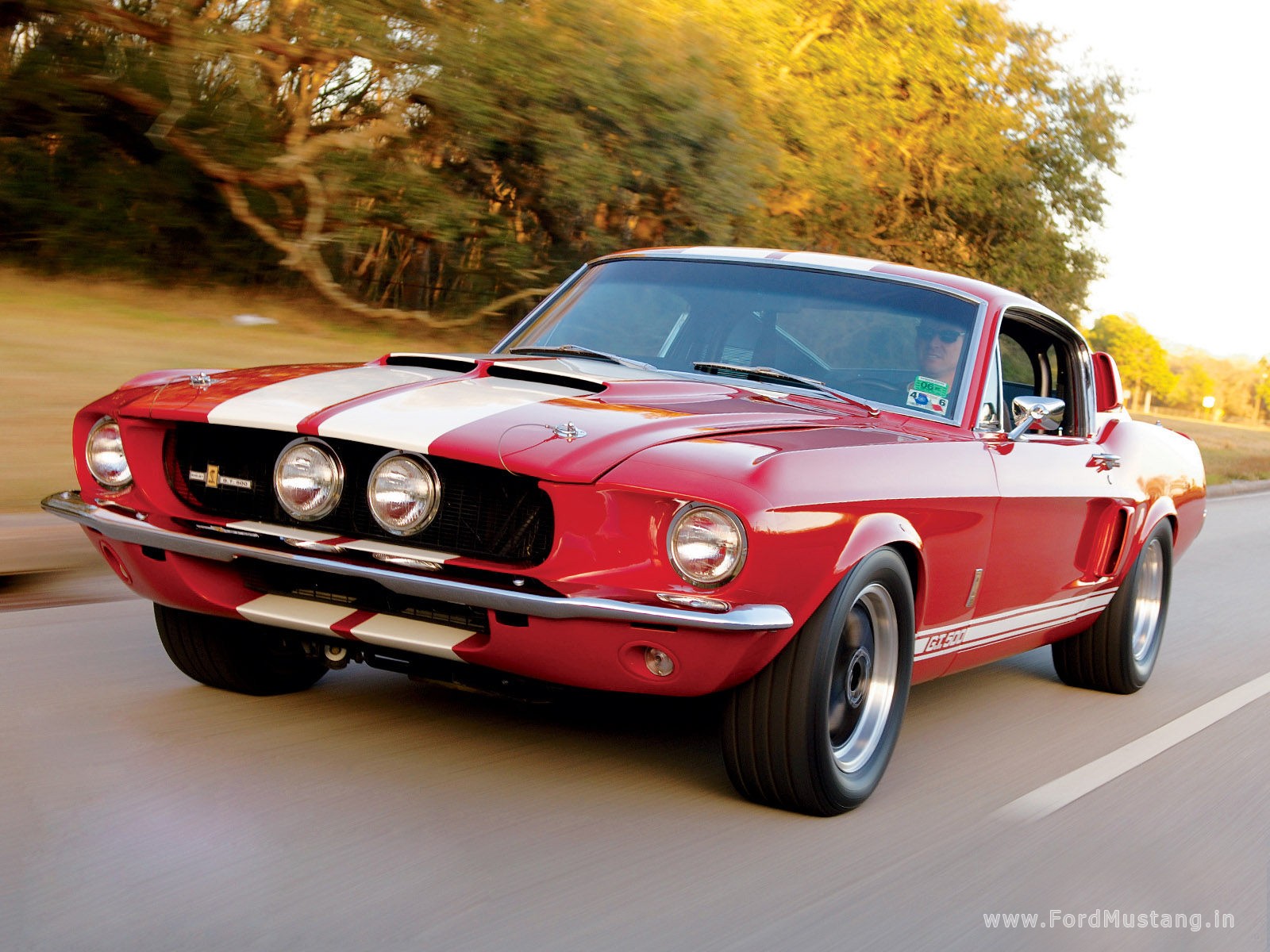 http://2.bp.blogspot.com/_GrXmP25uJ6Y/S9ezIN3RI1I/AAAAAAAAAEU/9LgAkoL5fjU/s1600/shelby-mustang-gt500-1967.jpg