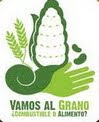 VAMOS AL GRANO