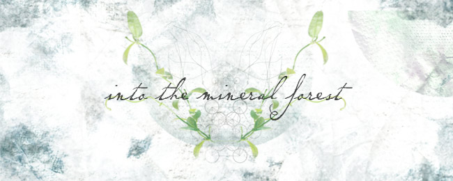 into the mineral forest