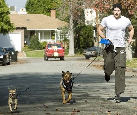 [KELLANDOG.bmp]
