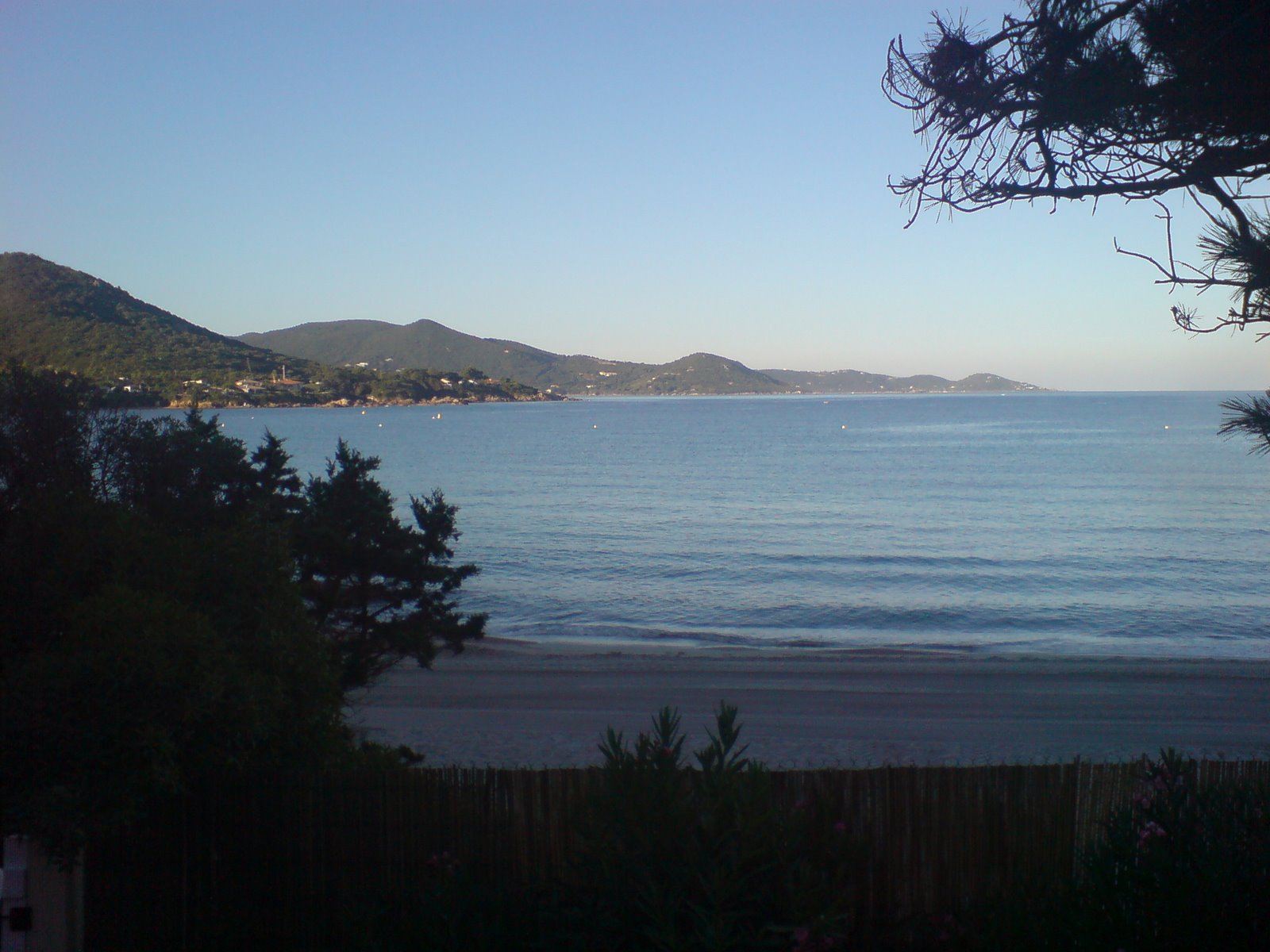 [DSC00572.JPG]