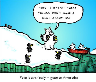 polar_bear_penguin-1.jpg