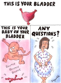 bladder & baby