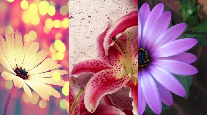 samsung star wallpapers zedge. Wallpapers For Samsung Star. samsung star wallpapers zedge.