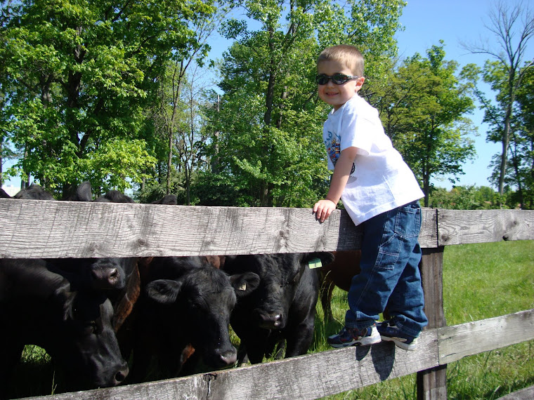 5-18-09 Gavin & Cows