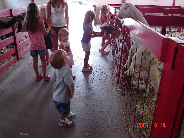 Mason & goat 8-14-07