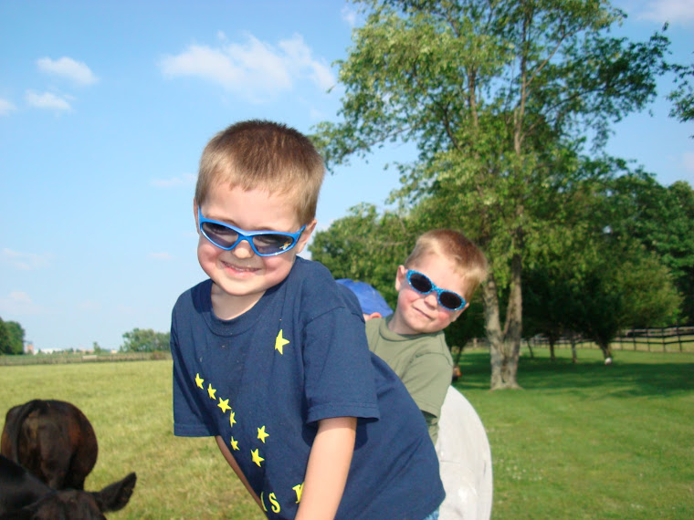 6-9-09 Gavin & Mason with cows