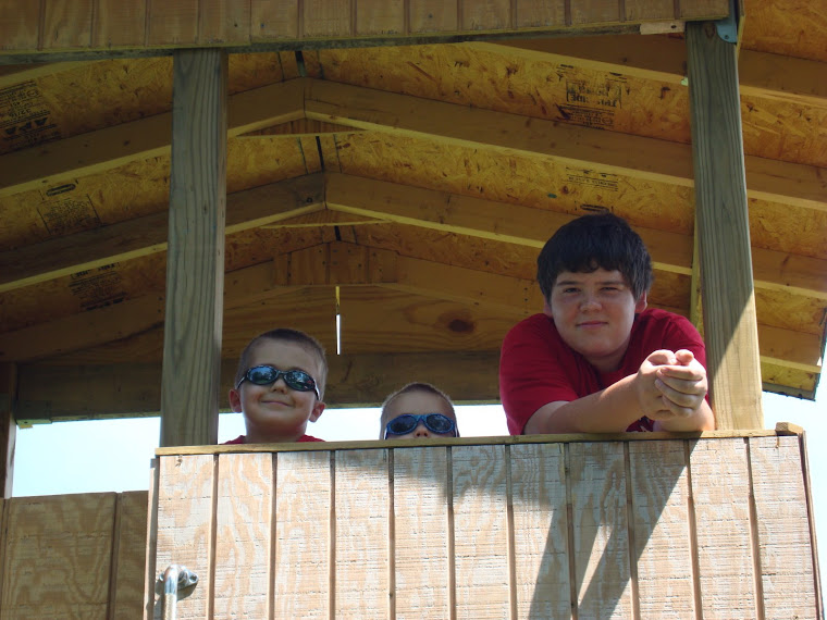 6-18-09 Gavin Mason  Spencer in Treehouse