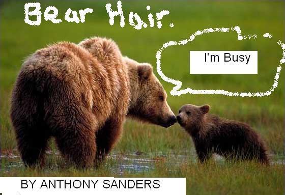 Bear Hair