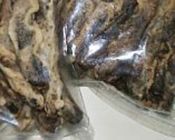 indonesia marketers agroindustri pengolahan sale pisang indonesia marketers agroindustri pengolahan sale pisang
