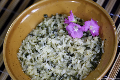 Risotto au chénopode blanc décoré avec quelques fleurs d'épilobe à grandes fleurs Risotto au chénopode blanc décoré avec quelques fleurs d'épilobe à grandes fleurs
